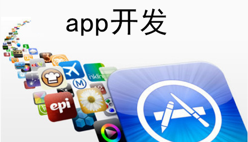 生活服务综合平台APP定制开发