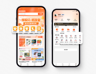 开发一款秒杀商城的费用分析